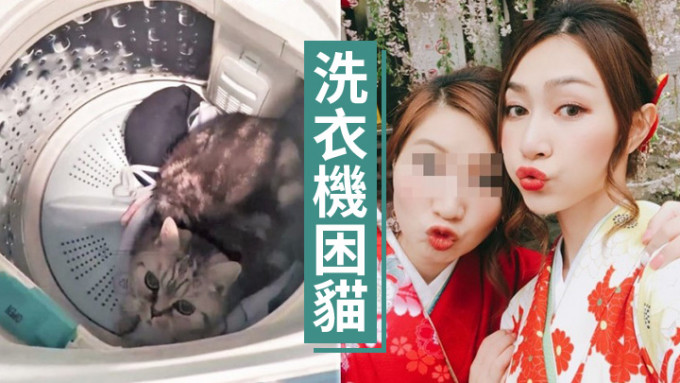 港姐黄嘉雯胞姐涉将猫困在洗衣机。资料图片