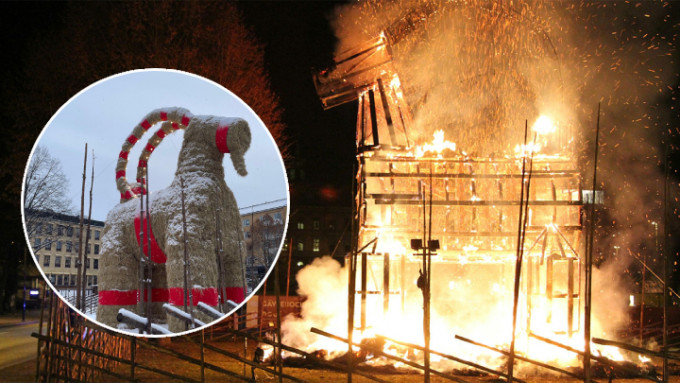 瑞典北部的聖誕羊未能連續5年安度節日。（網上圖片）