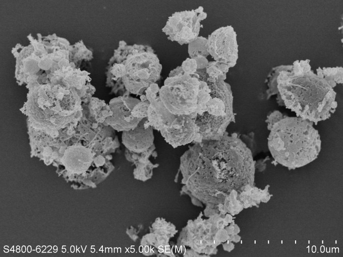 掃描電子顯微鏡放大5,000倍的他米巴羅汀可吸入式乾粉製劑。港大醫學院圖片