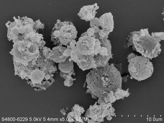 扫描电子显微镜放大5,000倍的他米巴罗汀可吸入式乾粉制剂。港大医学院图片