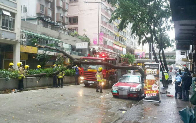 駱克道大樹塌下壓著一輛的士。 香港突發事故報料區FB圖