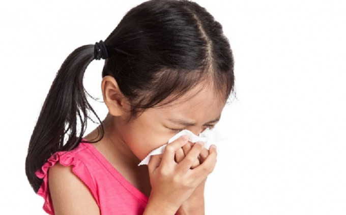 衞生署推介5款中药食疗抗流感。