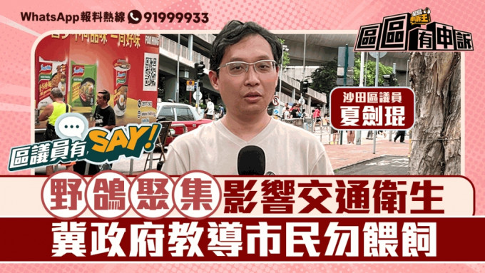 區議員有Say | 沙田區夏劍琨：野鴿聚集影響交通衛生 冀政府教導市民勿餵飼