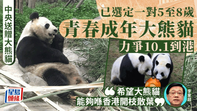 李家超表示力爭兩隻熊貓在10月1日到達香港。