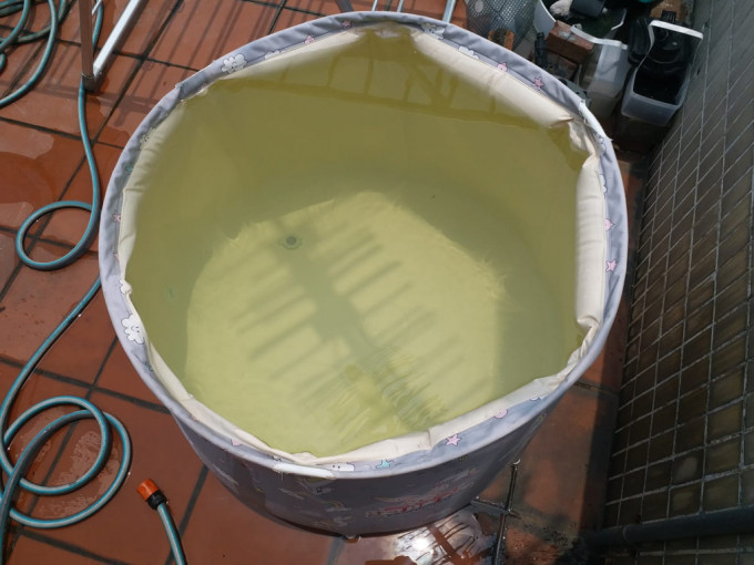 多名馬鞍山居民指近日食水變黃的情況嚴重。網上圖片