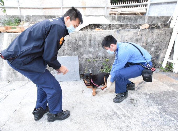 唐狗隨後獲救。