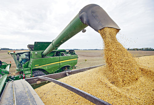 中國近日持續採購美國大豆，並豁免進口關稅。