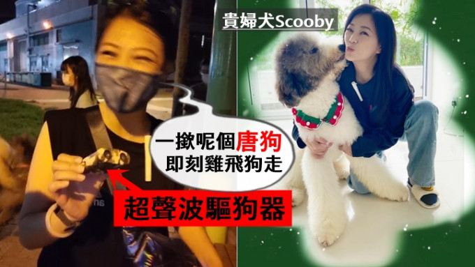劉小慧護名種犬用「驅狗器」嚇走唐狗，遭網民鬧爆急道歉解釋。