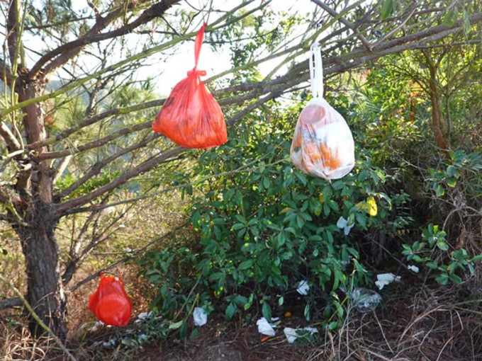近日有網民發現，有行山客竟將一袋袋垃圾掛上樹，附近草更有大量用過的紙巾。Facebook圖片