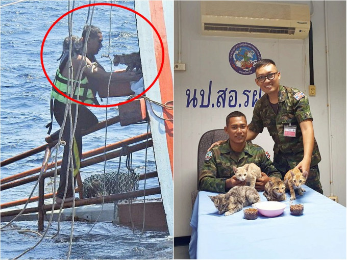 泰国一名水兵目赌4只小猫被困后，随即跳海进行救援。网图