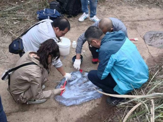 研究员等人前往百花镇野鸡坡现场考察，证实发现侏罗纪晚期恐龙脚印化石。（网图）