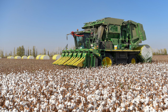 中國是世界第二大棉花生產國，新疆佔全國生產量85%，即中國的棉製品大量使用新疆棉花。新華社