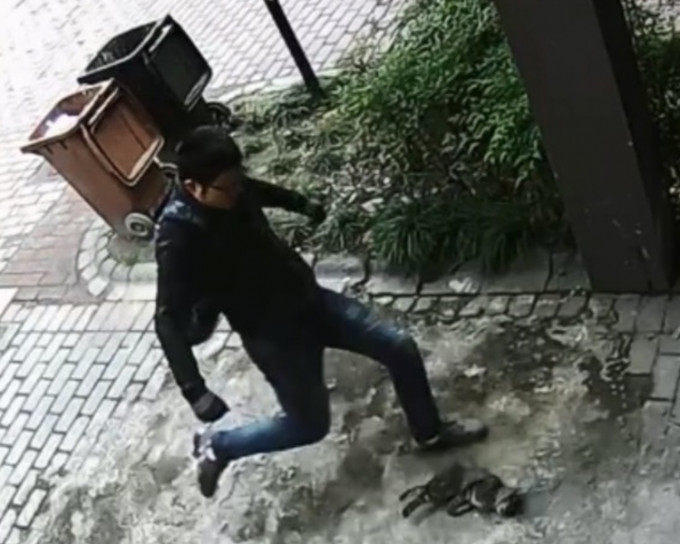 男子用脚大力踢开在地上垂死挣扎的猫咪。影片截图