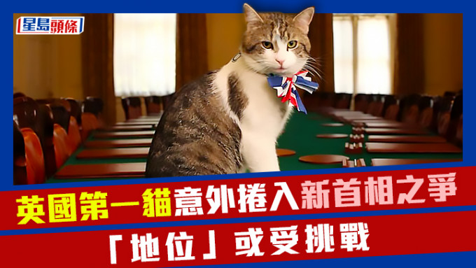 英國「第一貓」拉里的地位或因新首相入主唐寧街而動搖。gov.uk圖片