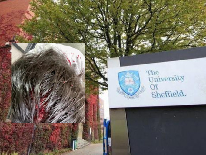 英国谢菲尔德大学近期发生多宗中国留学生遇袭事件。 （网上图片）