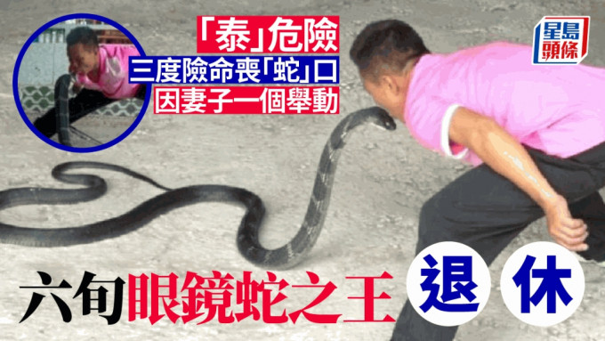 62岁柴布迪表演吻眼镜蛇。 （翻摄自Thaiger）
