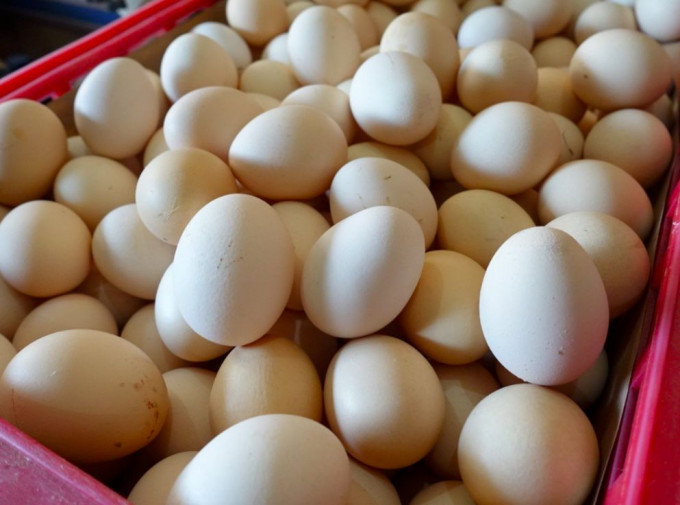 台灣出現蛋荒，雞蛋價格不斷創新高。網圖