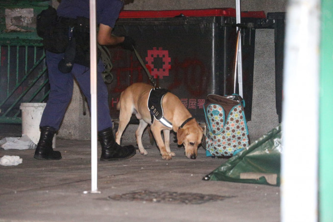 警方派出搜索犬调查。
