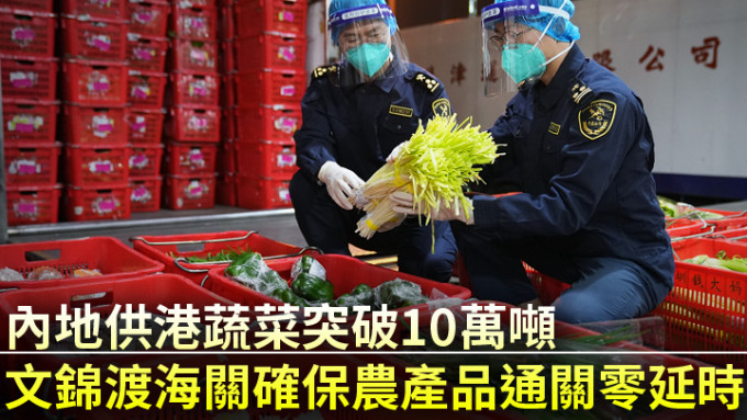 內媒指，今年以來，文錦渡海關已監管出口供港蔬菜10萬餘噸。央視新聞圖片