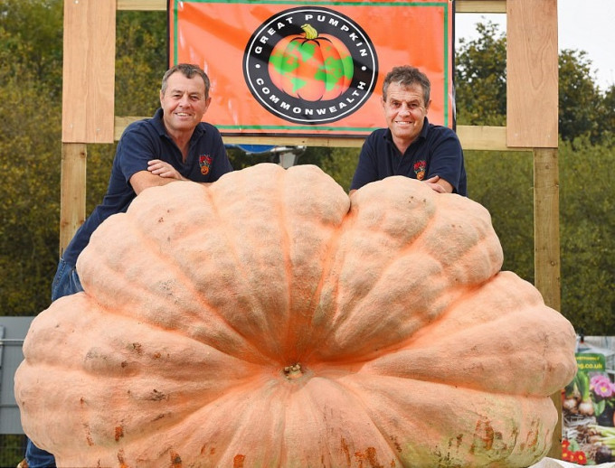 英國漢普郡孖生兄弟Stuart  Paton及Ian Paton種植的2269磅巨形南瓜。