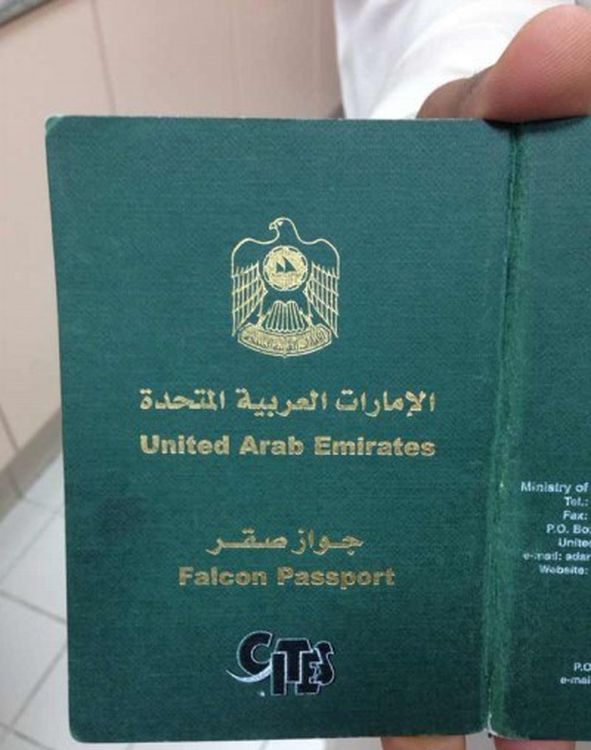 每隻獵隼都有護照。