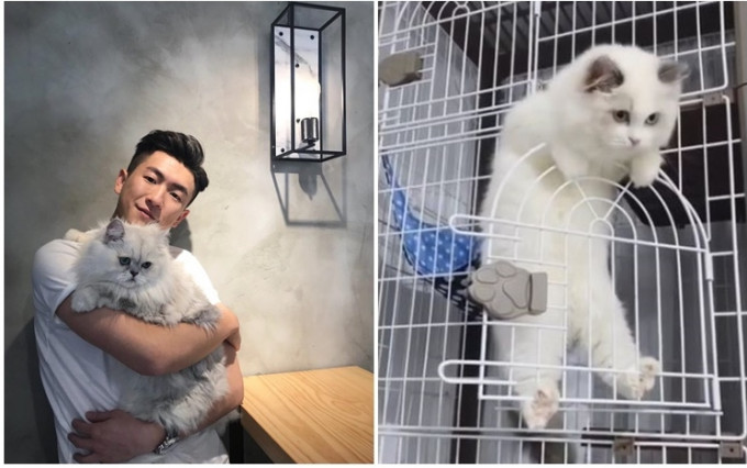 马贯东爱猫病逝两日，他分享MOOMOO小时候短片悼念。