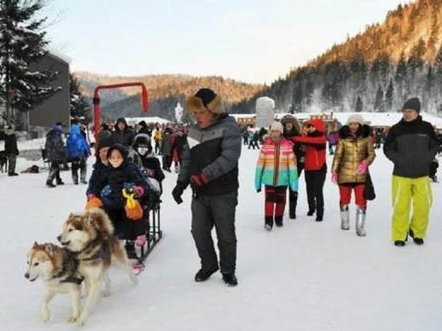 雪橇上坐了三个大人，两只狗狗拉得非常吃力。 网上图片