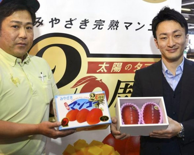 「太陽之子」是日本芒果最高級的品牌。網圖