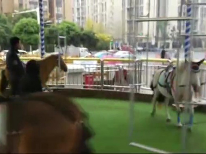 网曝四川成都万达广场上惊现「旋转真马」，马匹被绑在圆形场地的钢管上，跟着机器绕圈走，游客就坐在马背上。（网图）