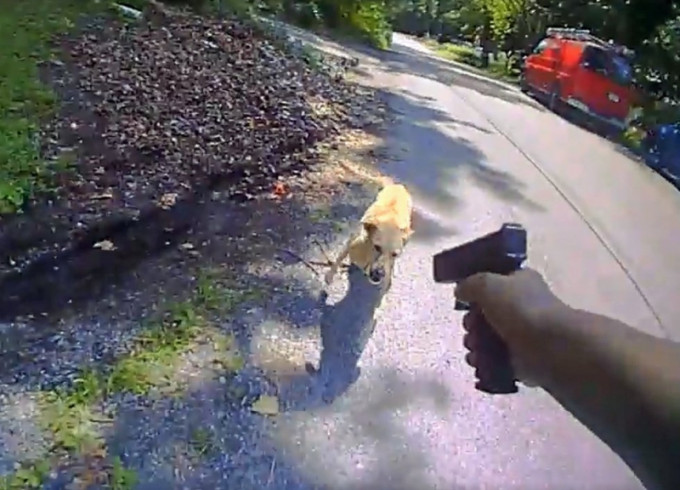 新州警高叫「退後」， 開槍擊斃寵物犬。（網圖）
