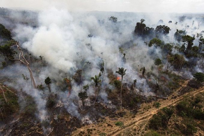 全球最大的雨林區、巴西亞馬遜森林50年來消失了20%.AP資料圖片