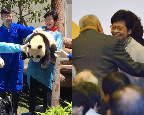 林鄭在四川熊貓基地抱熊貓(左圖);早前獲前特首董建華「抱抱」(右圖)。資料圖片