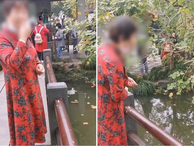 杭州西湖边一位大妈往湖里吐瓜子壳的影片引发关注。（网图）