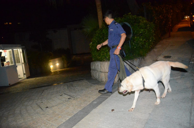 警方带同警犬在附近搜索。