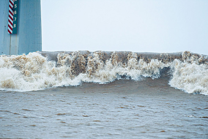 受颱風「梅花」影響，錢塘江昨天在風雨中迎來大潮。