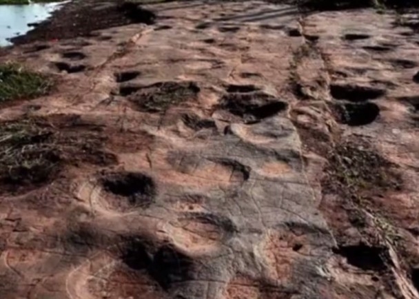 山東郯城發現大型恐龍足迹群多達300餘個。（網圖）