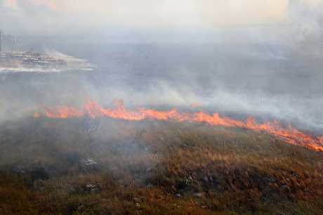 西西里岛巴勒莫附近可见山火猛烧。美联社