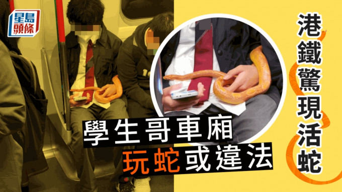 有網民在港鐵車廂發現有學生哥帶活蛇上車。