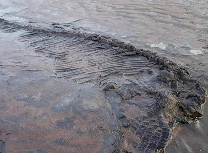 英国男子海边遛狗，发现约6500万年鱼龙骨。网上图片