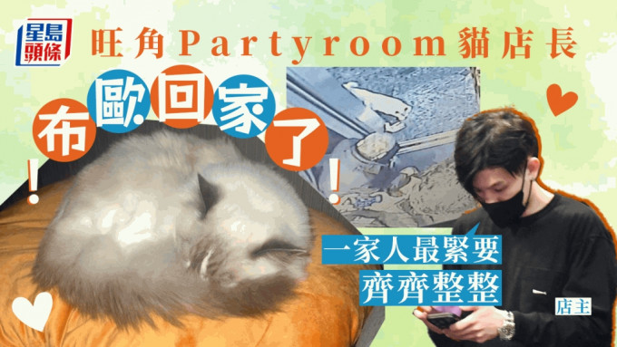 旺角Partyroom貓店長「布歐」終於平安回家。