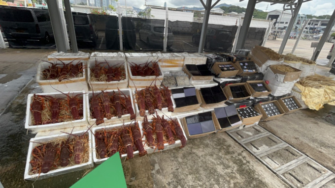 海關香港仔魚市場破快艇走私案 檢獲1100萬元龍蝦花膠等