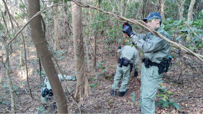 将军澳警区一连10日反爆窃行动 移除山坡丛林不明标记