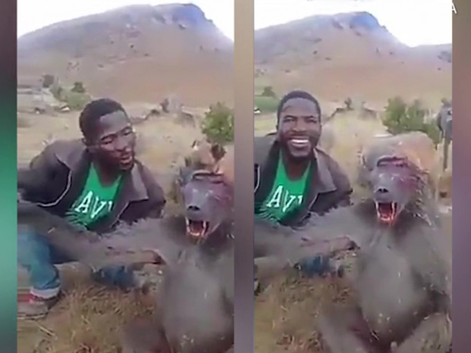 南非一名男子涉嫌虐待狒狒，被当地动物保护组织通缉，要找出这名冷血男子。(网图)