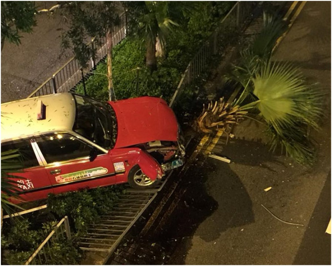 其中一辆的士失控铲上路中央的花槽撞冧两棵葵树。图：网民Charissa Luk‎ 香港突发事故报料区