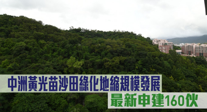 中洲黄光苗沙田绿化地最新向城规会申建160伙。