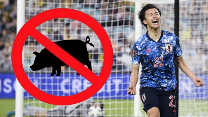 藍武士申請食豬，似乎難倒卡塔爾世盃籌委會。