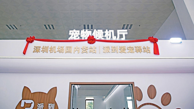 深圳机场的宠物候机厅近日启用。