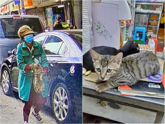 一名女子懷疑盜去深水埗店內的貓。