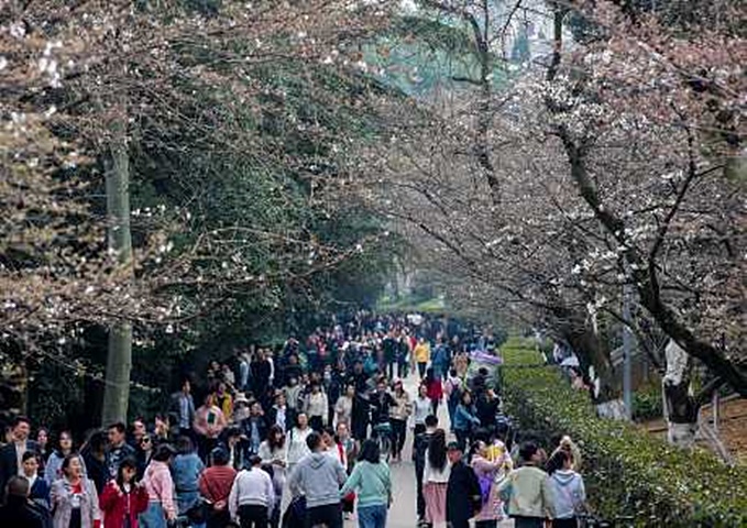 武汉大学清退国际学生。资料图片