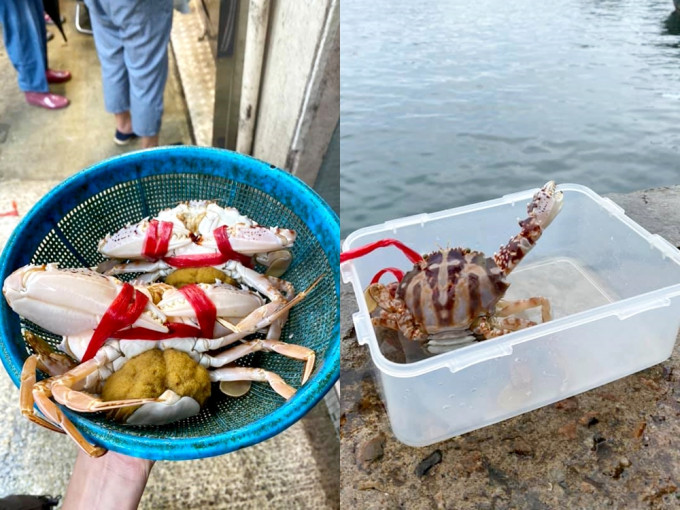 一名女网民不忍带卵红花蟹被卖，故买下2只蟹带到码头放生。FB图片